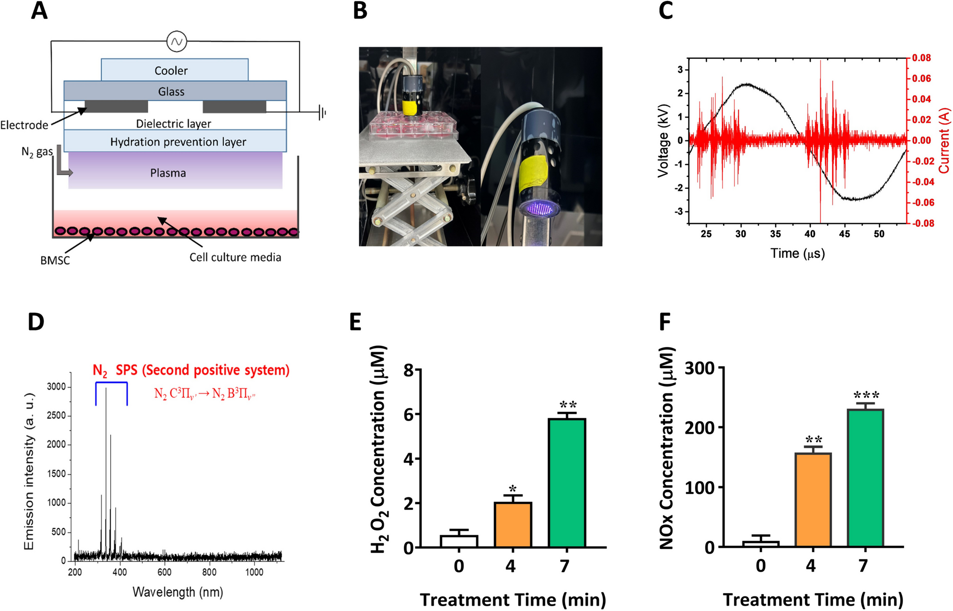 Nonthermal biocompatible plasma in stimulating osteogenic differentiation by targeting p38/ FOXO1 and PI3K/AKT pathways in hBMSCs