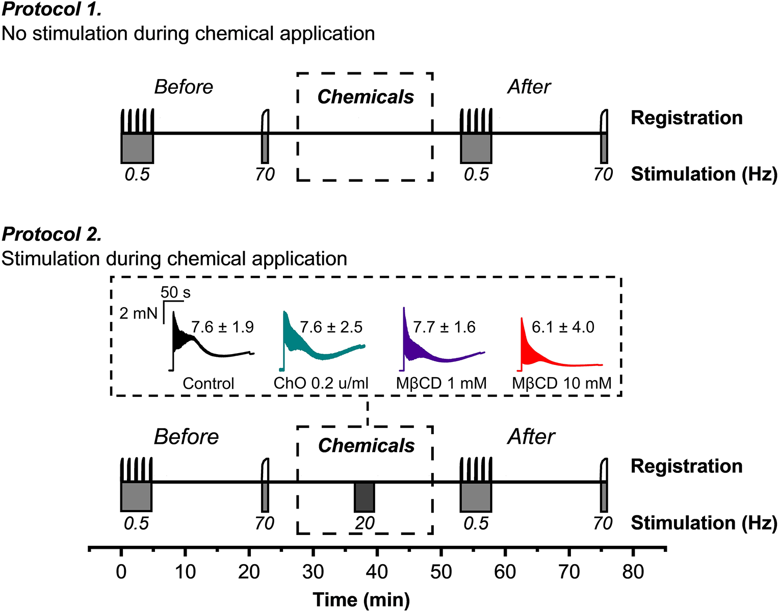 Effects of membrane cholesterol-targeting chemicals on skeletal muscle contractions evoked by direct and indirect stimulation