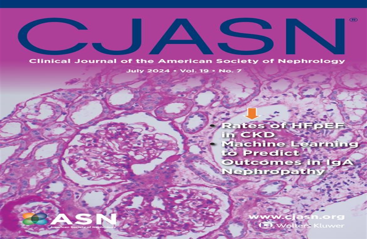 Dynamic Individualized Risk Prediction in IgA Nephropathy: Entering the Era of Artificial Intelligence