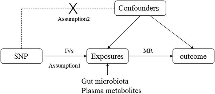 Causal associations among gut microbiota, 1400 plasma metabolites, and asthma: a two-sample Mendelian randomization study