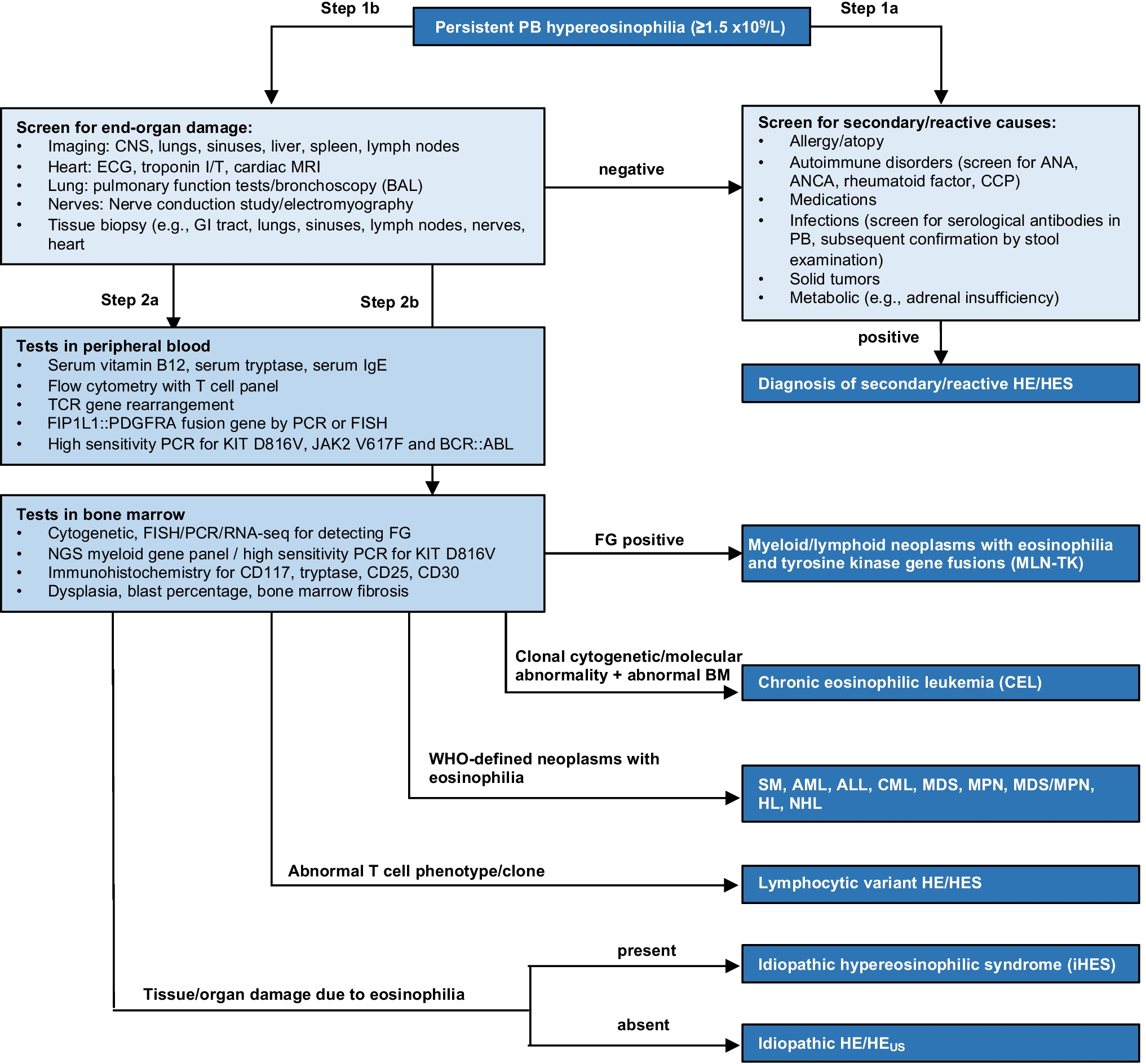 Approach to the patient with eosinophilia in the era of tyrosine kinase inhibitors and biologicals