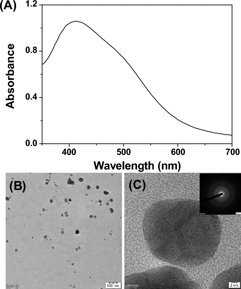 Mechanistic Investigation on the Antibacterial Activity of Biogenic Silver Nanoparticles Prepared Using Root Extract of Sarsaparilla and Demonstrated their In Vivo Efficacy in Zebrafish Model