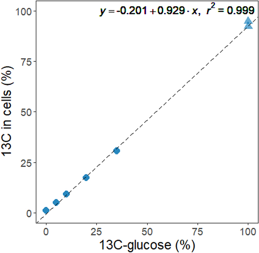 Establishing Host–Virus Link Through Host Metabolism: Viral DNA SIP Validation Using T4 Bacteriophage and E. coli