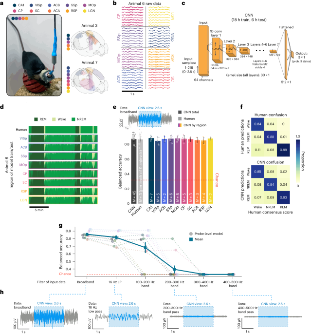 A nonoscillatory, millisecond-scale embedding of brain state provides insight into behavior