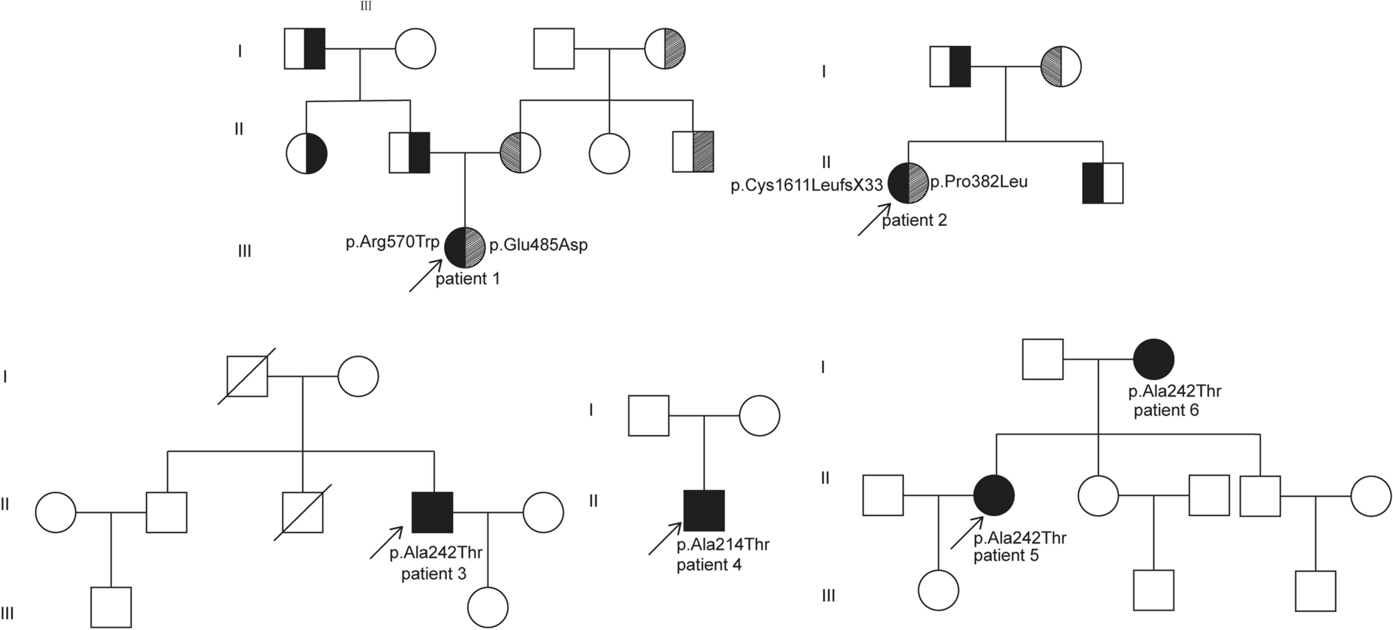 Clinical features, treatment, and follow-up of OPPG and high-bone-mass disorders: LRP5 is a key regulator of bone mass