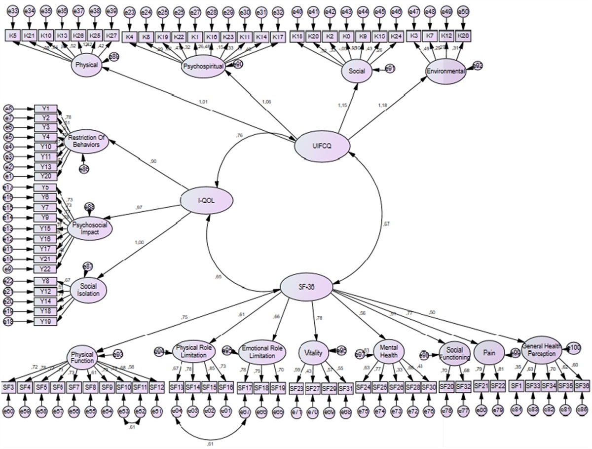 The Correlation Between Comfort Level and Quality of Life in Female Patients With Urinary Incontinence: Structural Equation Modeling Approach