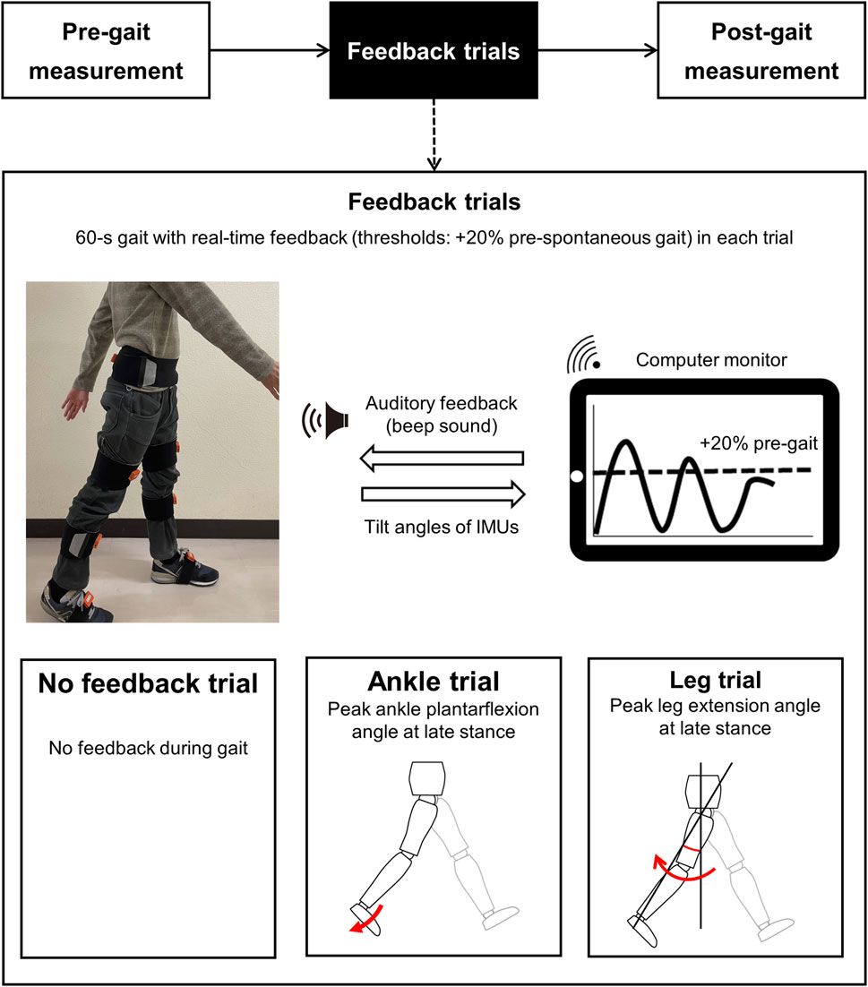 Inertial measurement unit-based real-time feedback gait immediately changes gait parameters in older inpatients: a pilot study