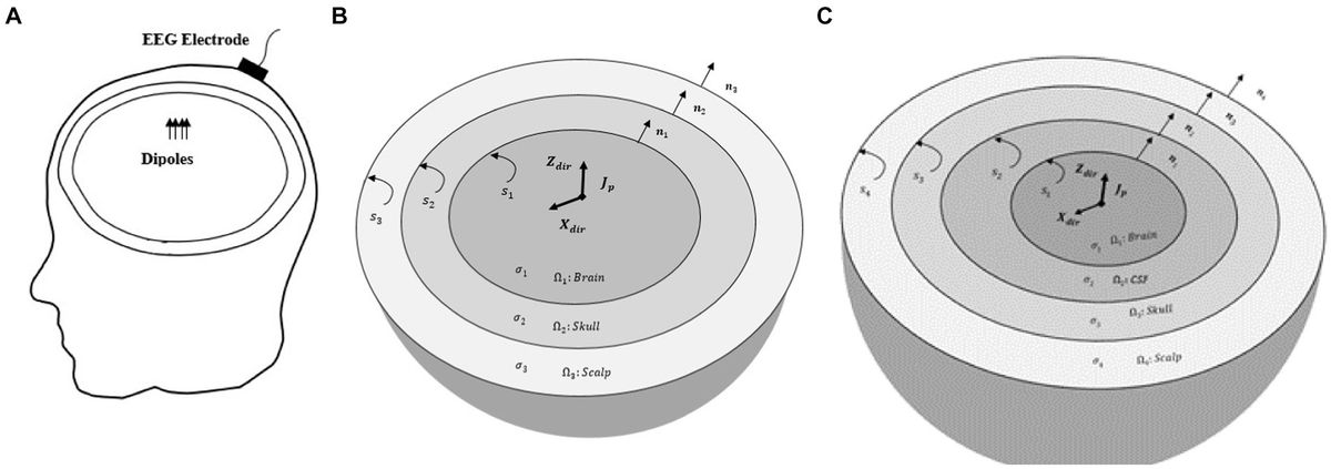 A hybrid boundary element-finite element approach for solving the EEG forward problem in brain modeling