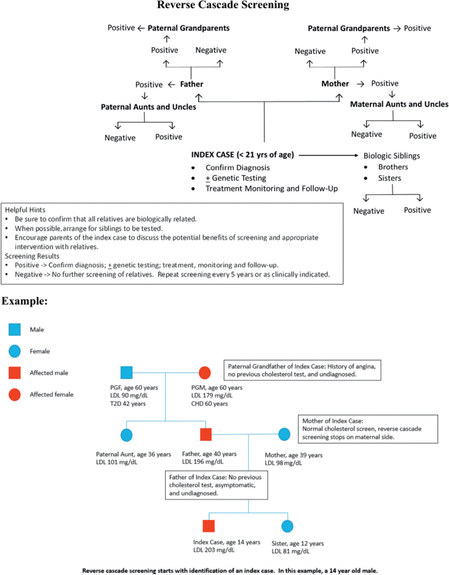 The Role of Reverse Cascade Screening in Children with Familial Hypercholesterolemia: A Literature Review and Analysis