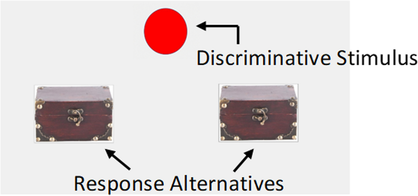 Toward a Procedure to Study Rule-Governed Choice: Preliminary Data