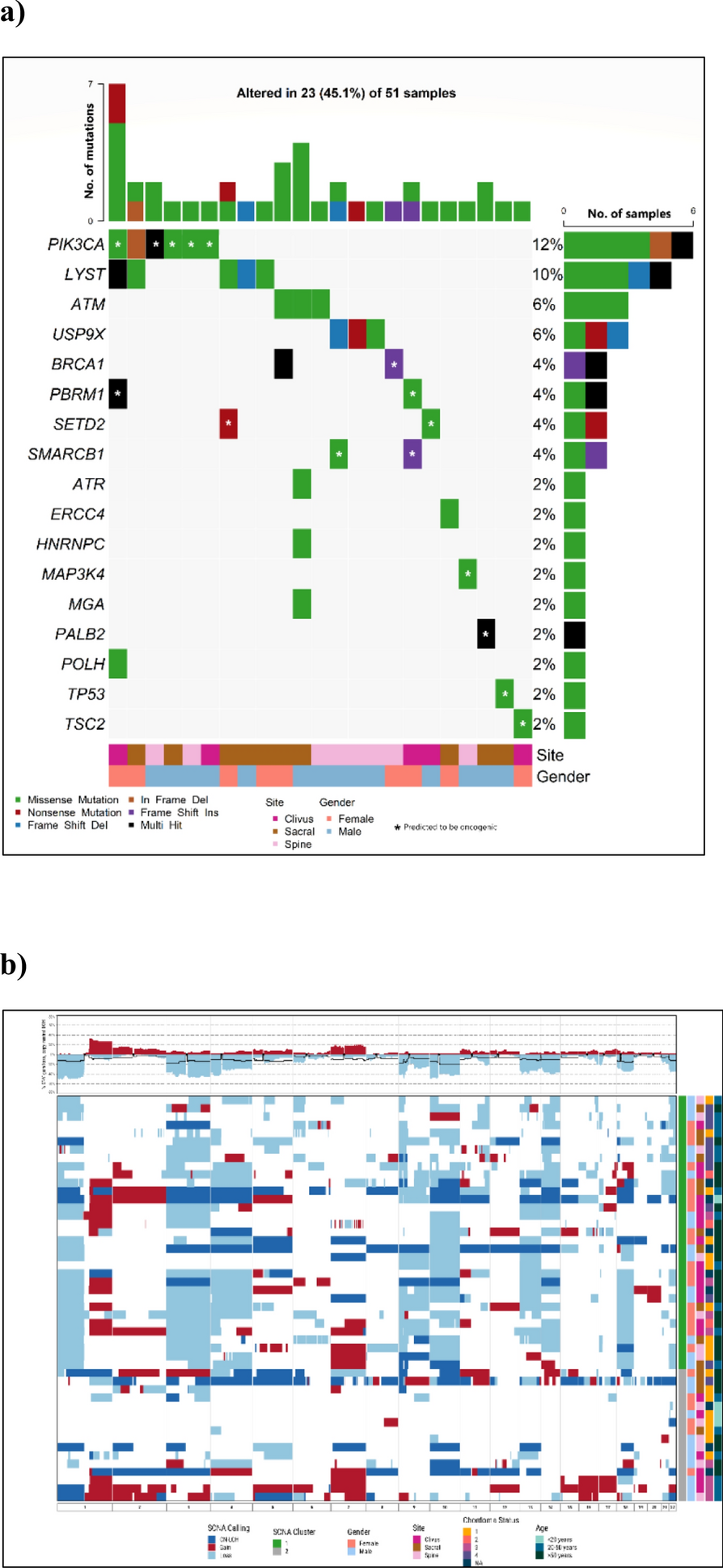 Genomic profiles and clinical presentation of chordoma