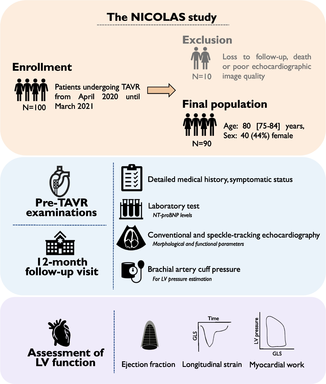 Non-invasive myocardial work as an independent predictor of postprocedural NT-proBNP in elderly patients undergoing transcatheter aortic valve replacement