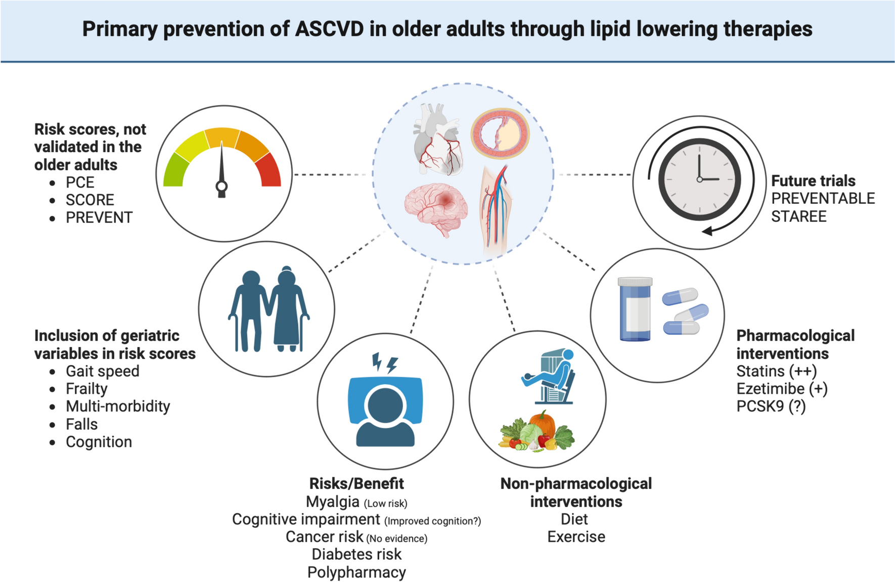 Treating Hypercholesterolemia in Older Adults for Primary Prevention of Cardiovascular Events