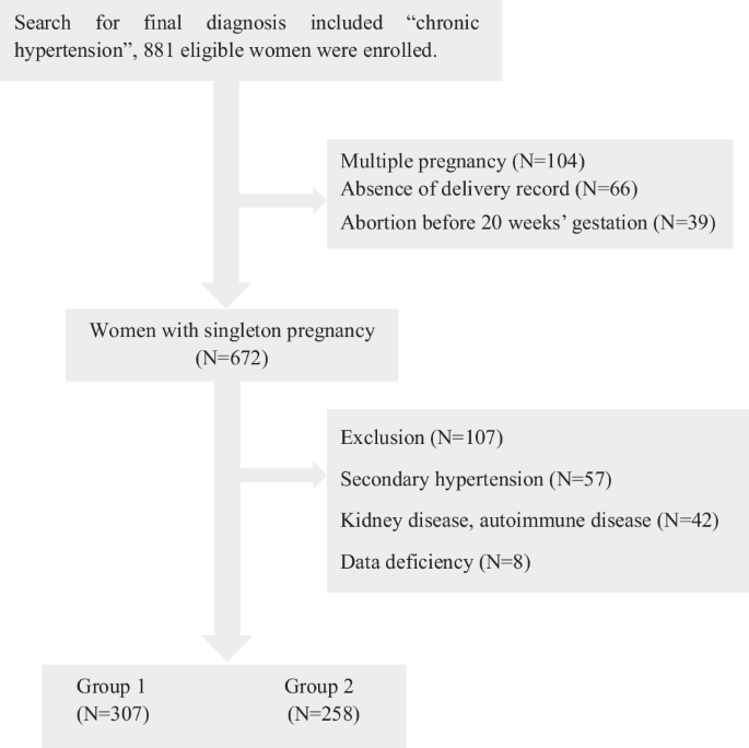 Chronic hypertension diagnosed before or during pregnancy and its effects on pregnancy outcomes