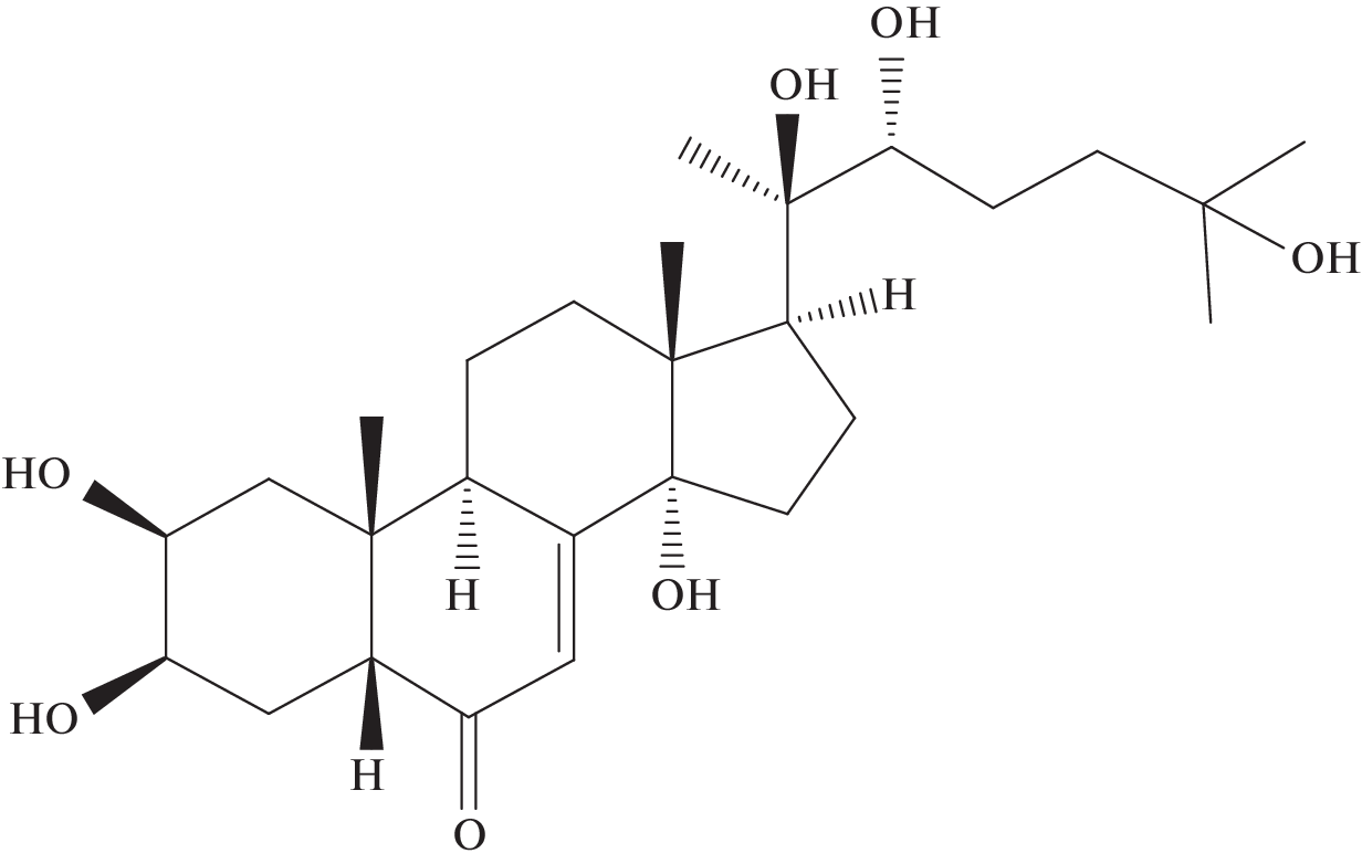 The Effect of 20-Hydroxyecdysone on the Functioning of Isolated Mouse Skeletal Muscle Mitochondria