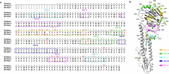 A broad-spectrum vaccine candidate against H5 viruses bearing different sub-clade 2.3.4.4 HA genes