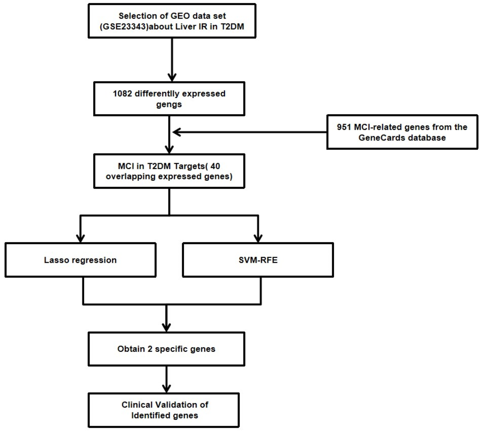 Investigating CR1 as an indicated Gene for mild cognitive impairment in type 2 diabetes mellitus