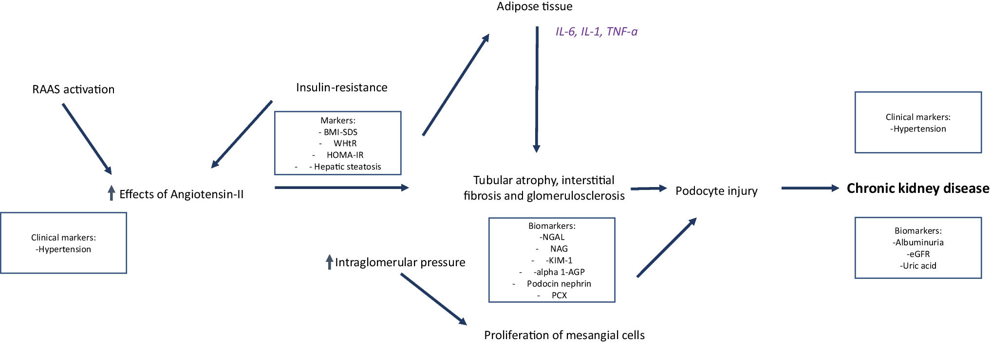 Kidney function evaluation in children and adolescents with obesity: a not-negligible need