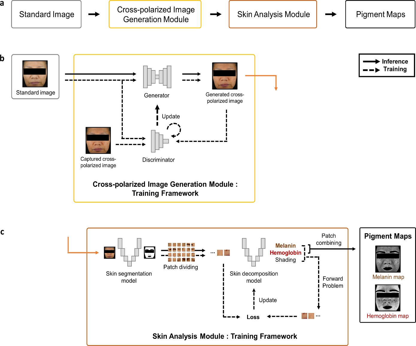 Integrated deep learning approach for generating cross-polarized images and analyzing skin melanin and hemoglobin distributions