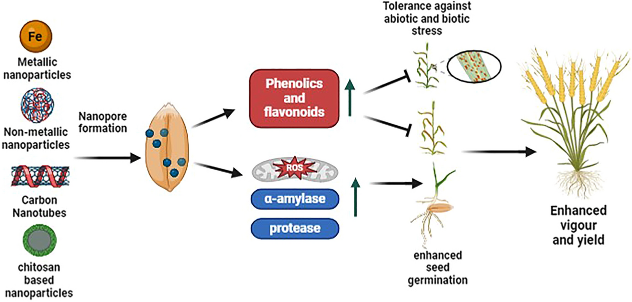 Recent advances in nano-priming induced plant growth promotion and environmental stress tolerance