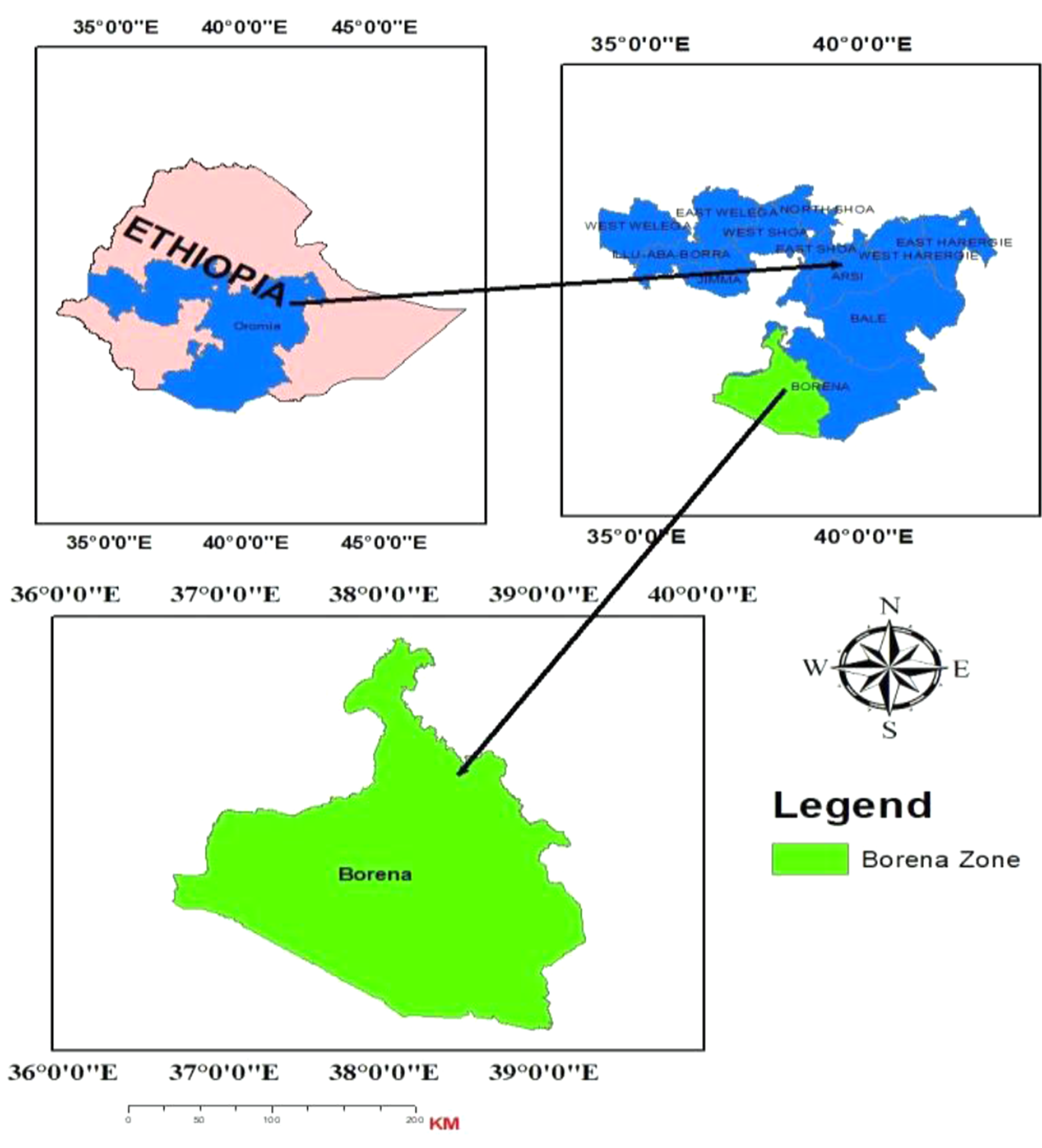 Determinants of survival time for HIV/AIDS patients in the pastoralist region of Borena: a study at Yabelo General Hospital, South East Ethiopia