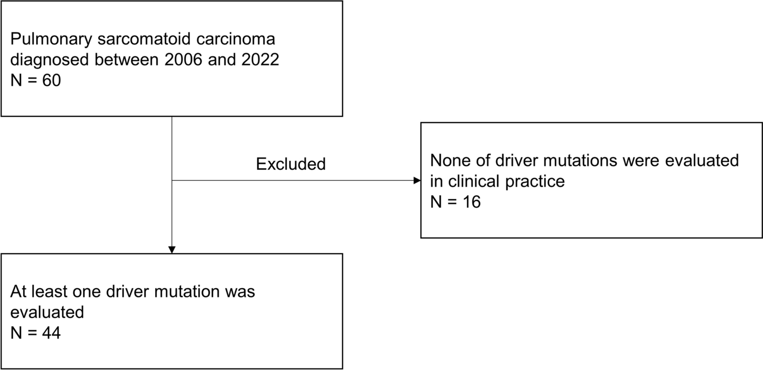 An observational study on the efficacy of targeted therapy for pulmonary sarcomatoid carcinoma