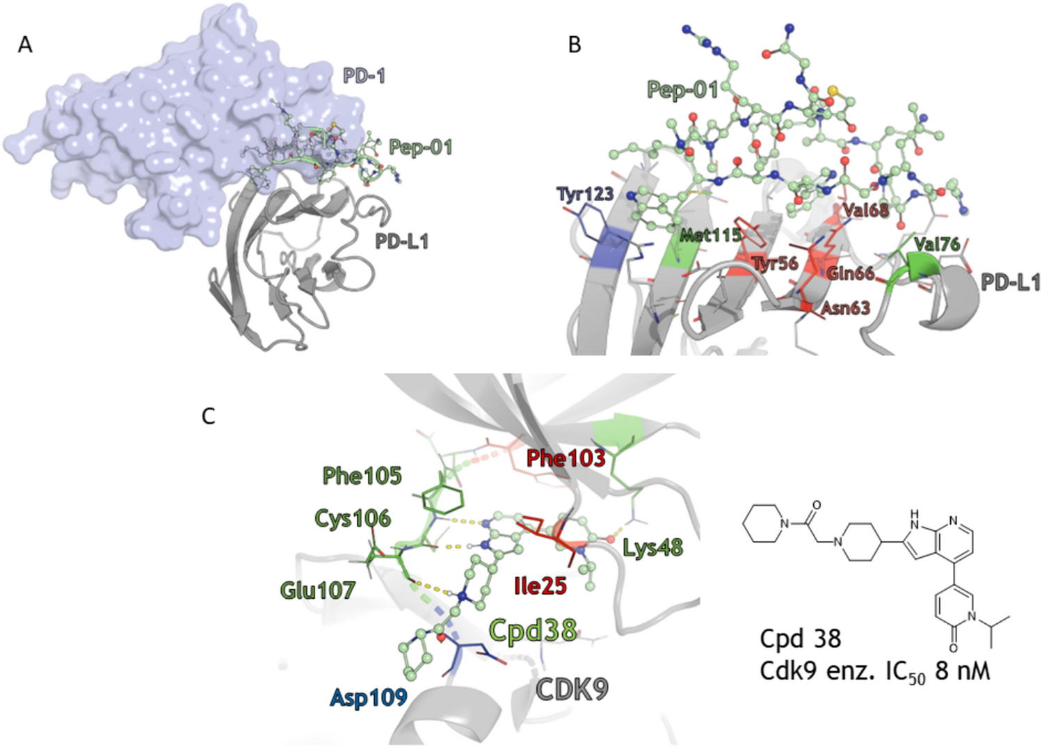 MDFit: automated molecular simulations workflow enables high throughput assessment of ligands-protein dynamics