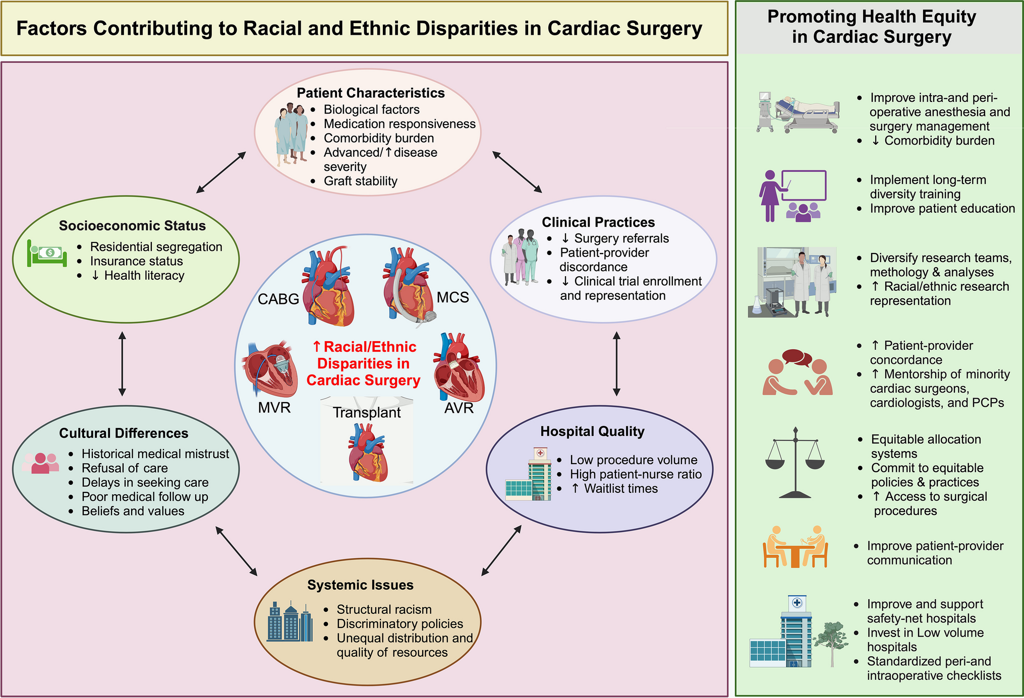 Racial and Ethnic Disparities in Peri-and Post-operative Cardiac Surgery