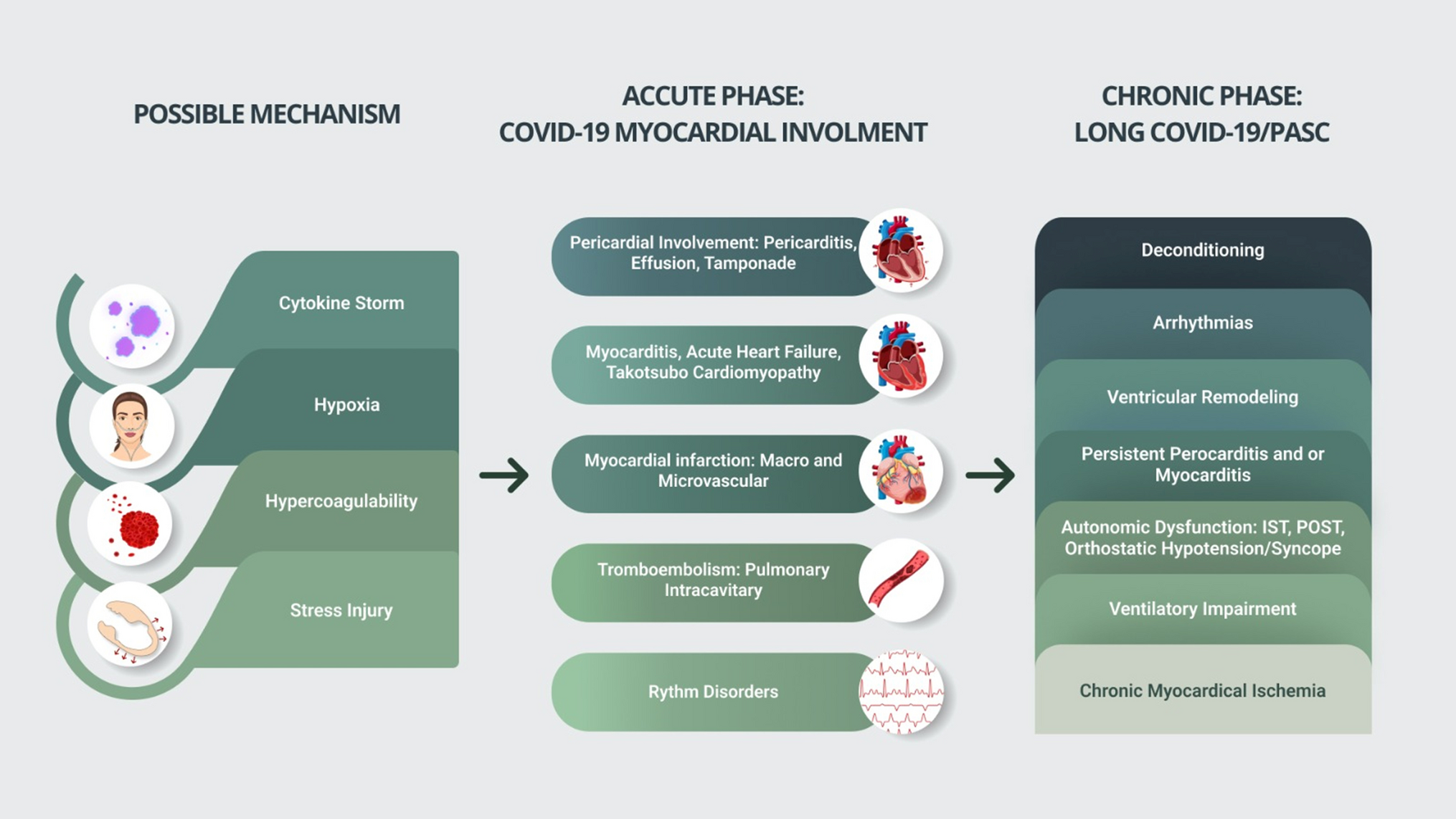 Post-acute Cardiovascular Sequelae of COVID-19: an Overview of Functional and Imaging Insights