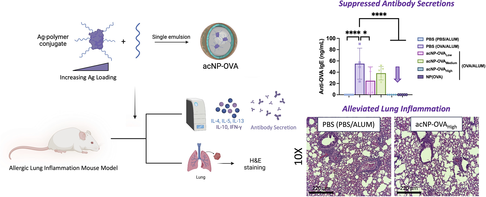 Impact of antigen loading in tolerogenic nanoparticles to mitigate Th2-mediated allergic lung inflammation