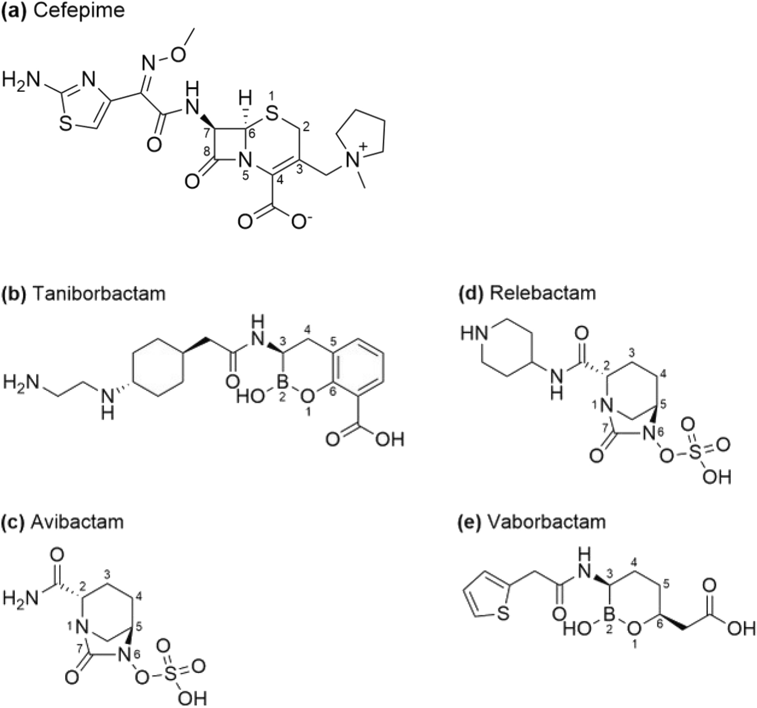 Cefepime–Taniborbactam: A Novel Cephalosporin/β-Lactamase Inhibitor Combination