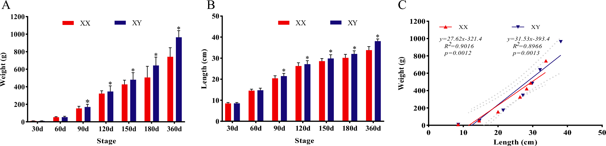 Histological observations and transcriptome analyses reveal the dynamic changes in the gonads of the blotched snakehead (Channa maculata) during sex differentiation and gametogenesis