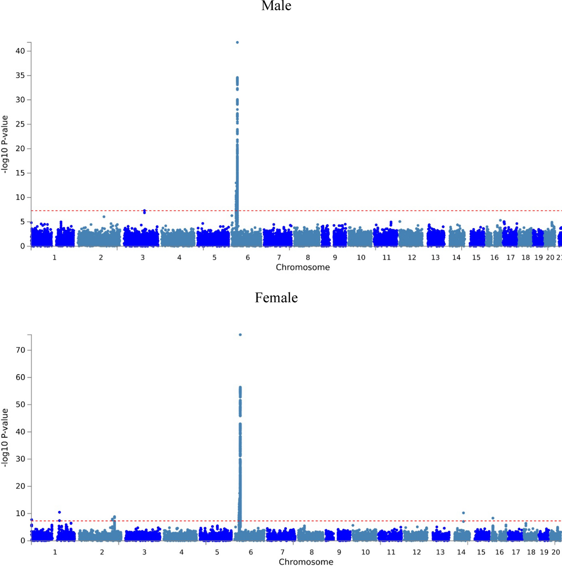 Sex-specific associations of Notch signaling with chronic HBV infection: a study from Taiwan Biobank