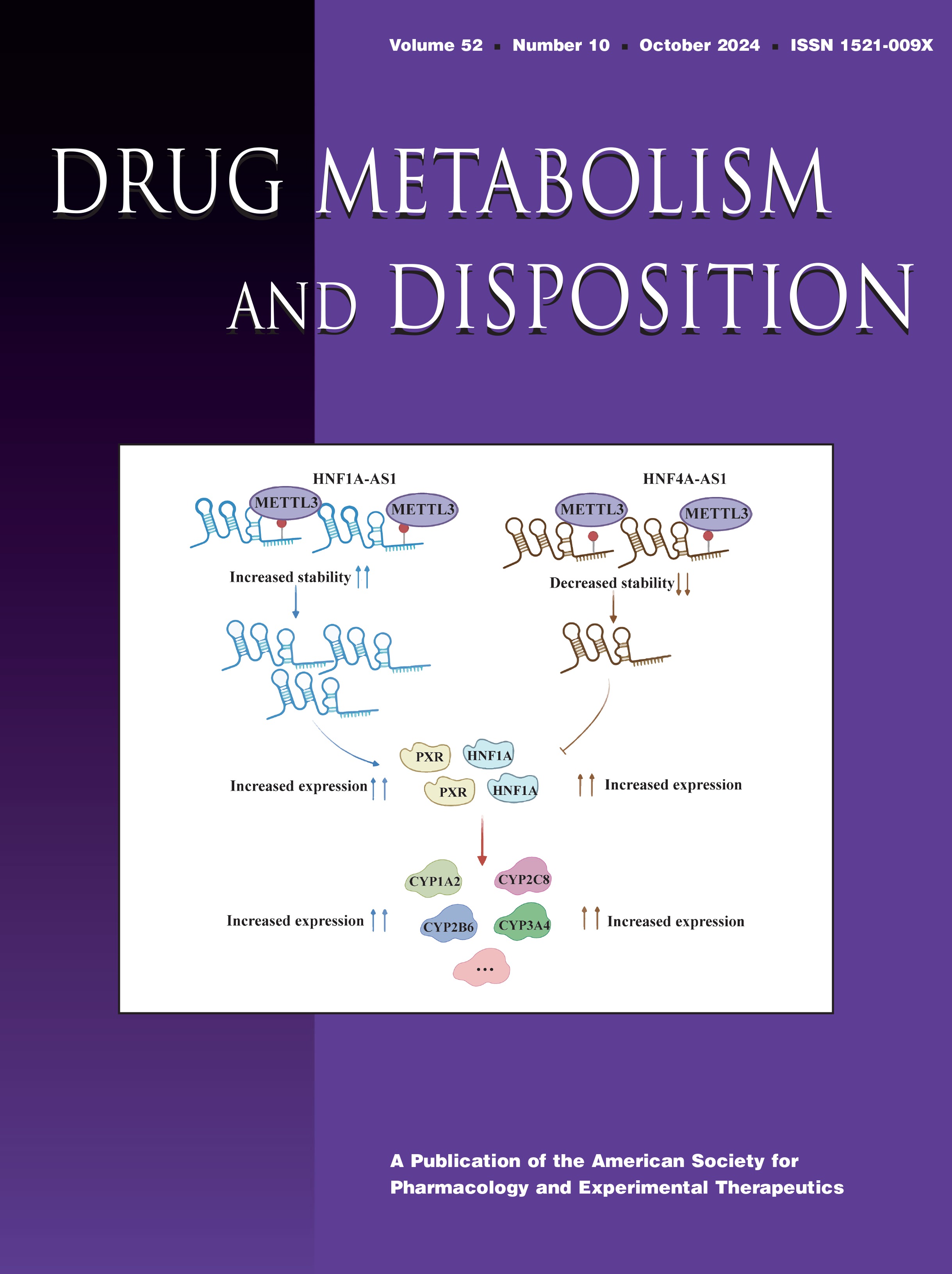 Development of a Novel HEK293 Cell Model Lacking SLC29A1 to Study the Pharmacology of Endogenous SLC29A2-Encoded Equilibrative Nucleoside Transporter Subtype 2 [Articles]