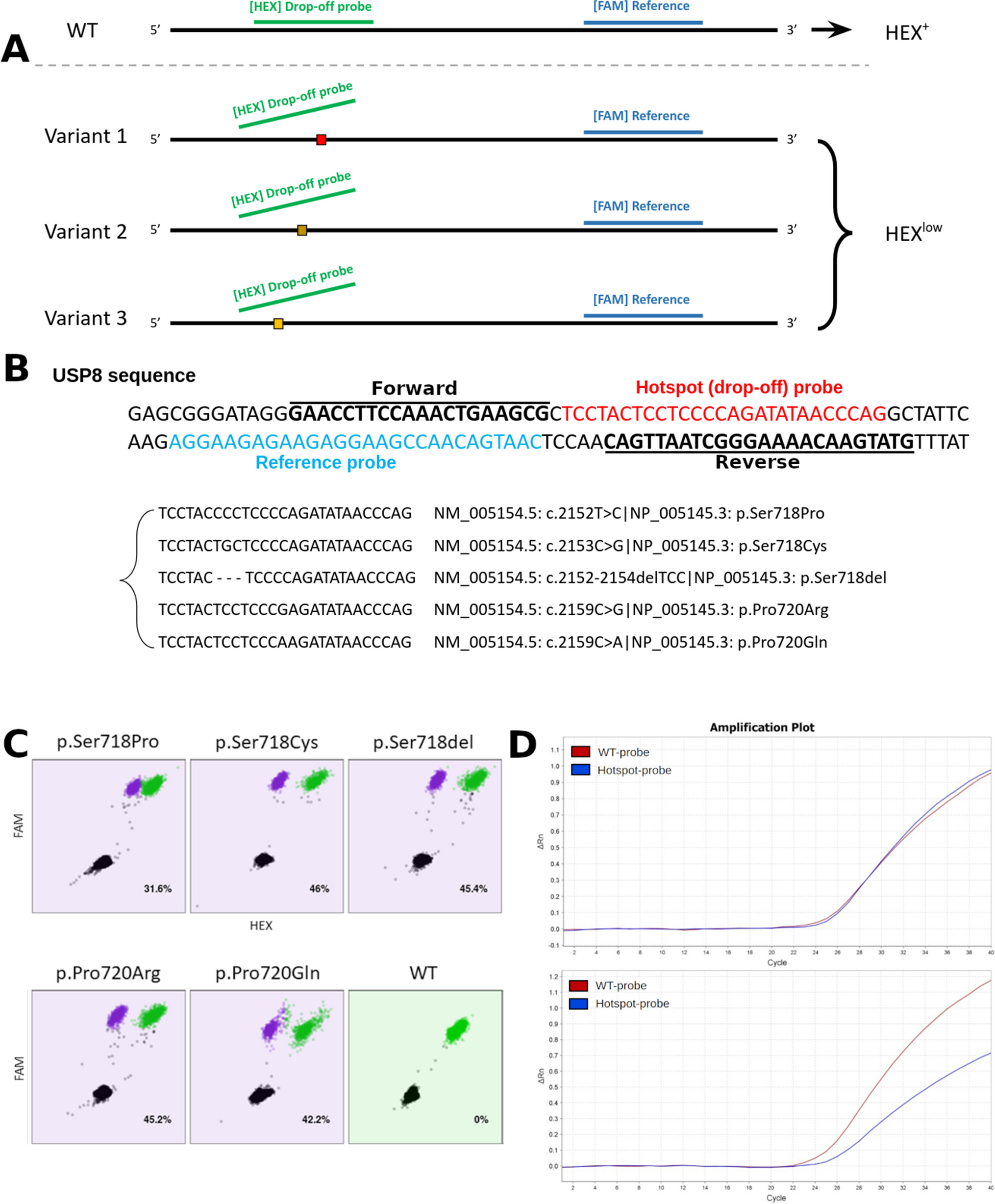 Novel Drop-off PCR Assay for USP8 Hotspot Variant Detection in Corticotroph Tumors