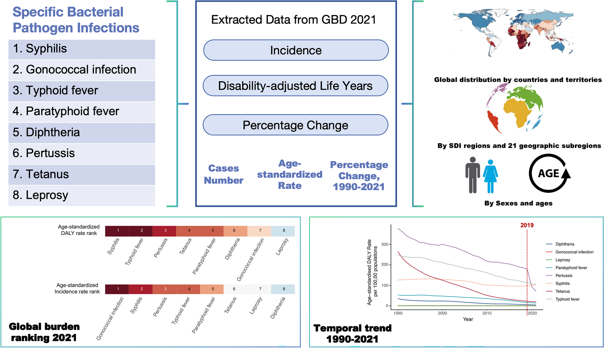 Global patterns of syphilis, gonococcal infection, typhoid fever, paratyphoid fever, diphtheria, pertussis, tetanus, and leprosy from 1990 to 2021: findings from the Global Burden of Disease Study 2021