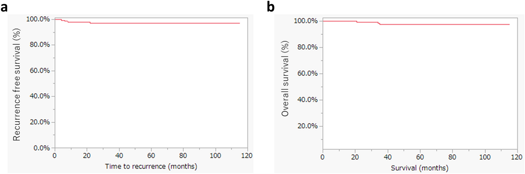 Long-term outcomes of sentinel lymph node navigation surgery for early-stage cervical cancer