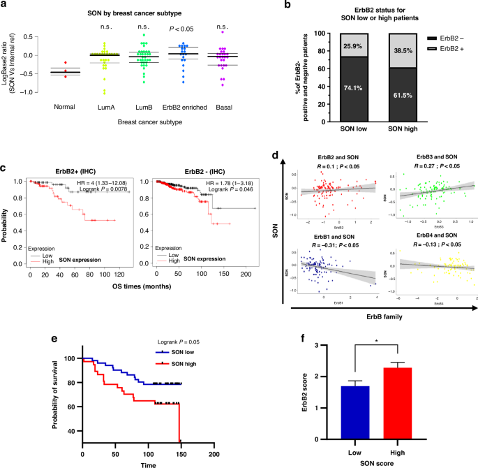 SON is an essential RNA splicing factor promoting ErbB2 and ErbB3 expression in breast cancer