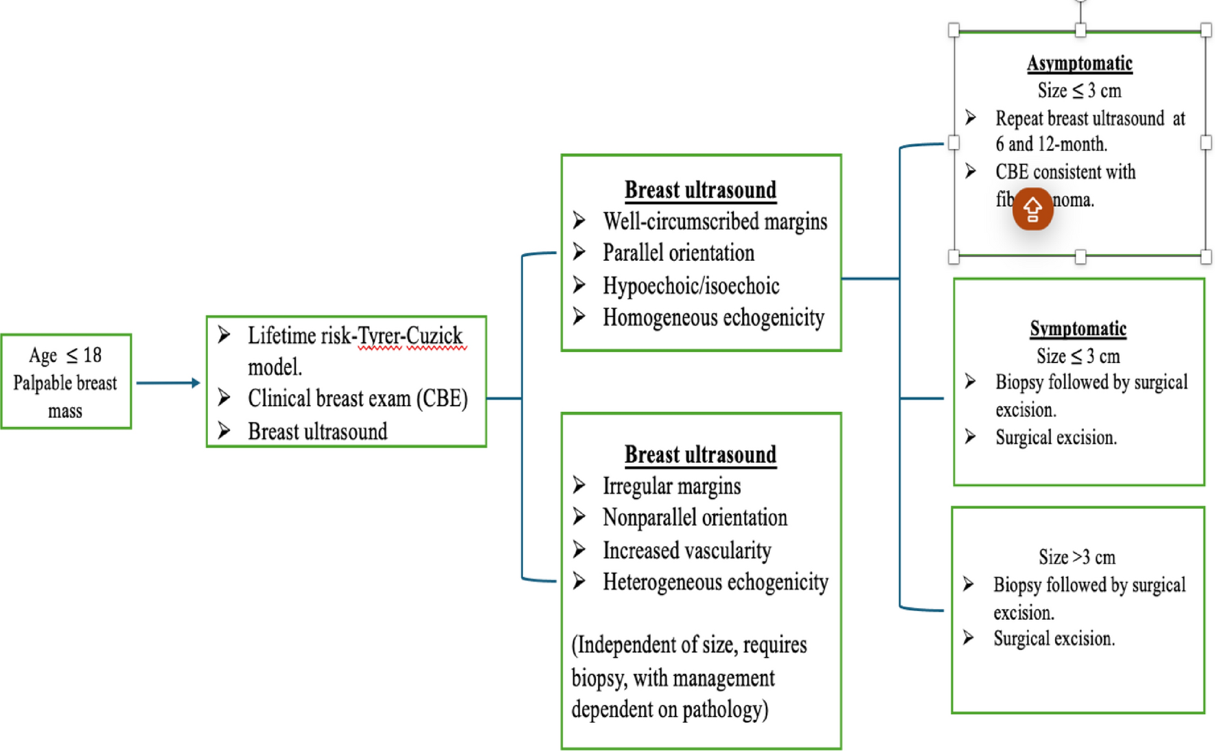 The Utility of the BIRADS Classification System in Evaluating Breast Masses in the Pediatric and Adolescent Populations