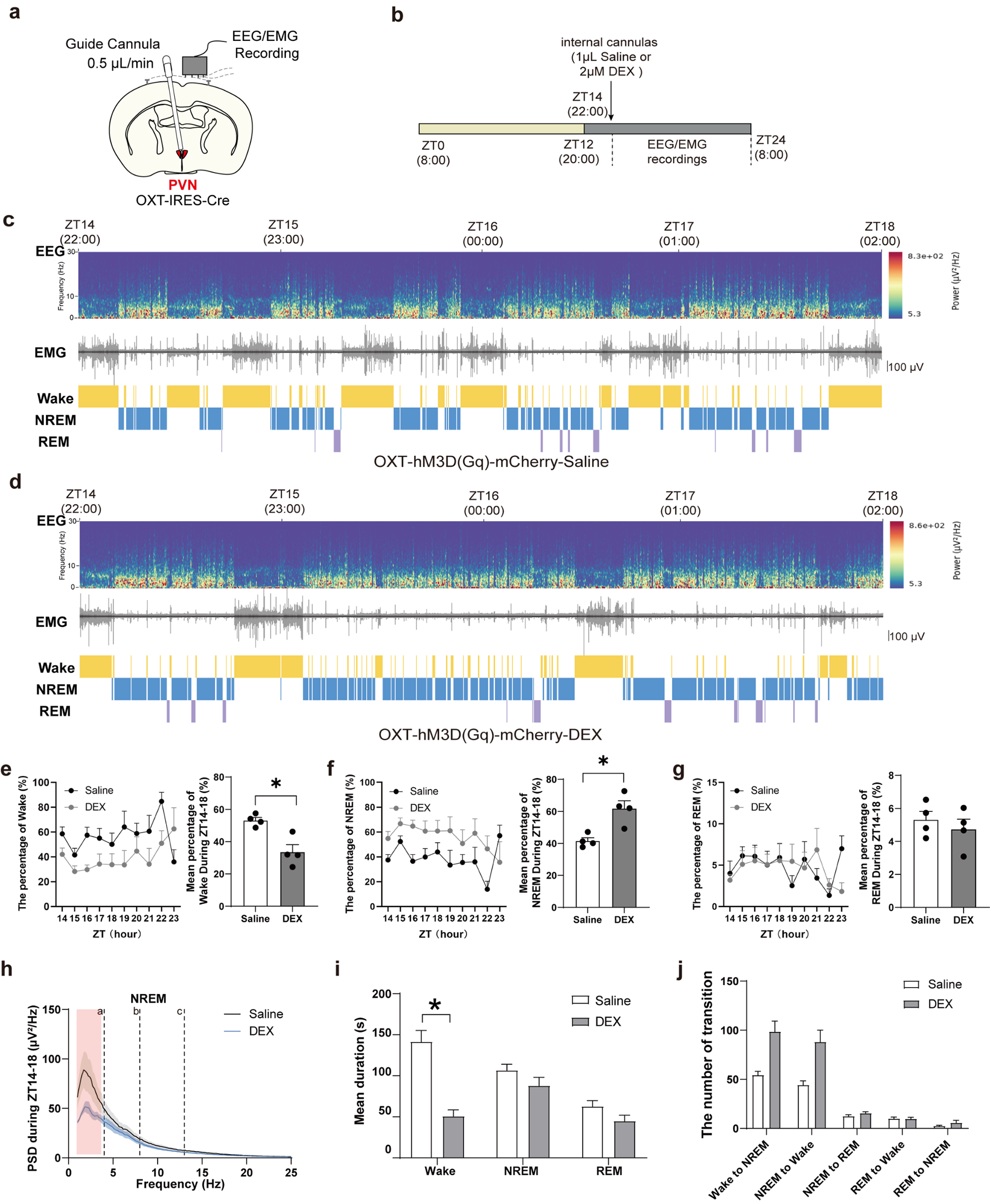 Dexmedetomidine Promotes NREM Sleep by Depressing Oxytocin Neurons in the Paraventricular Nucleus in Mice