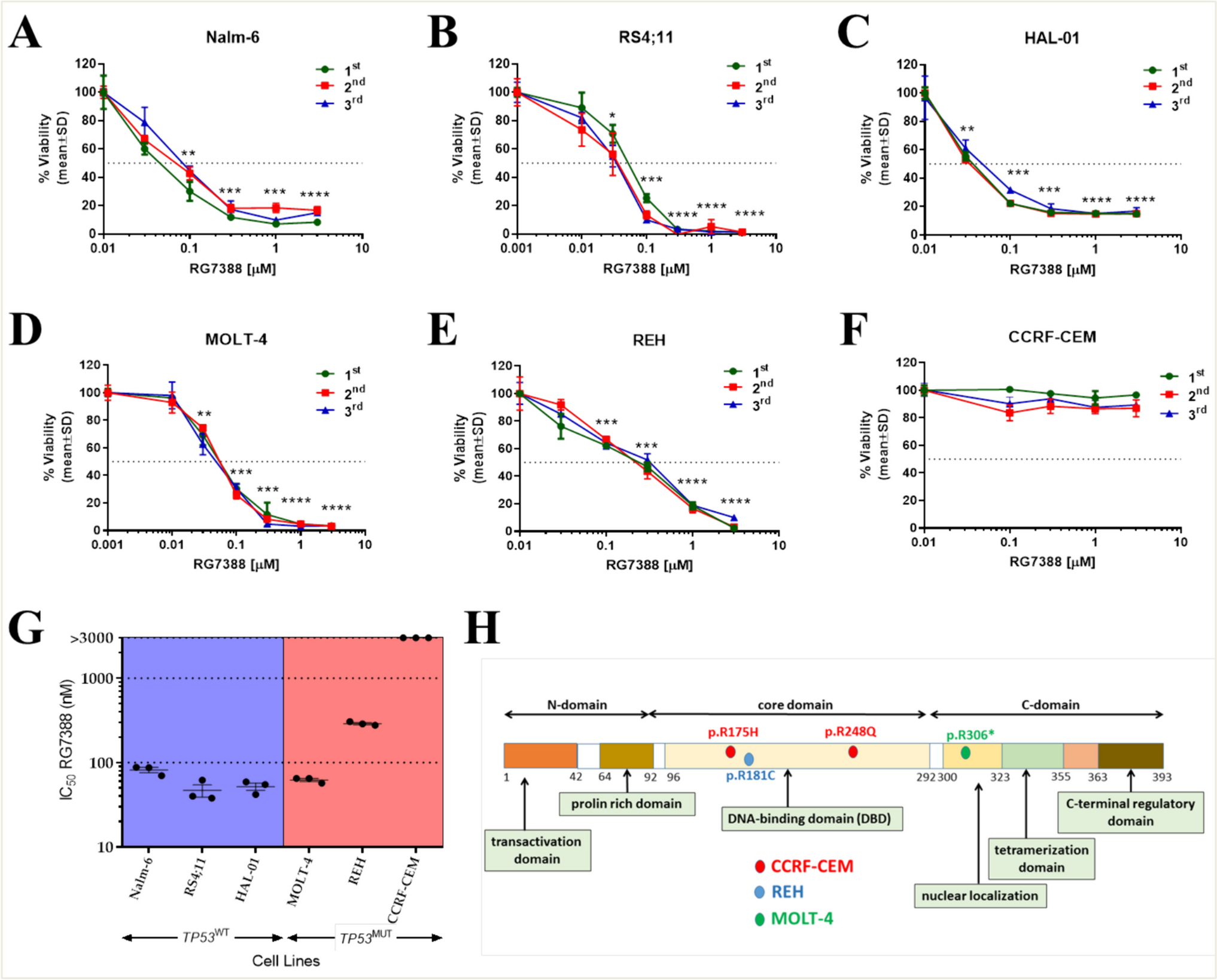 Targeting MDM2-mediated suppression of p53 with idasanutlin: a promising therapeutic approach for acute lymphoblastic leukemia