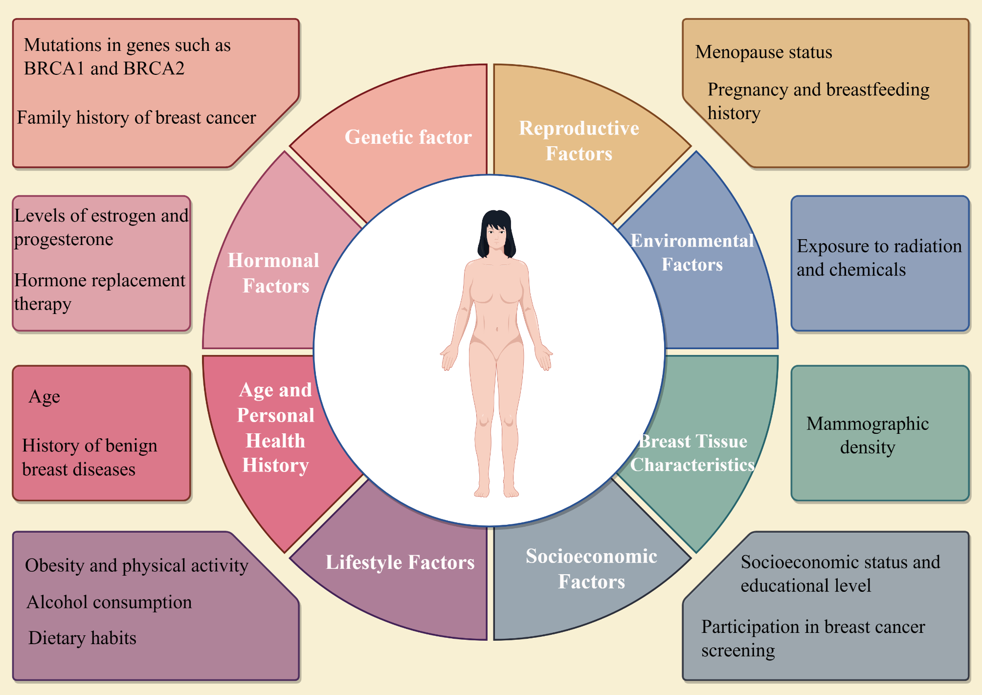 Association between breastfeeding, mammographic density, and breast cancer risk: a review