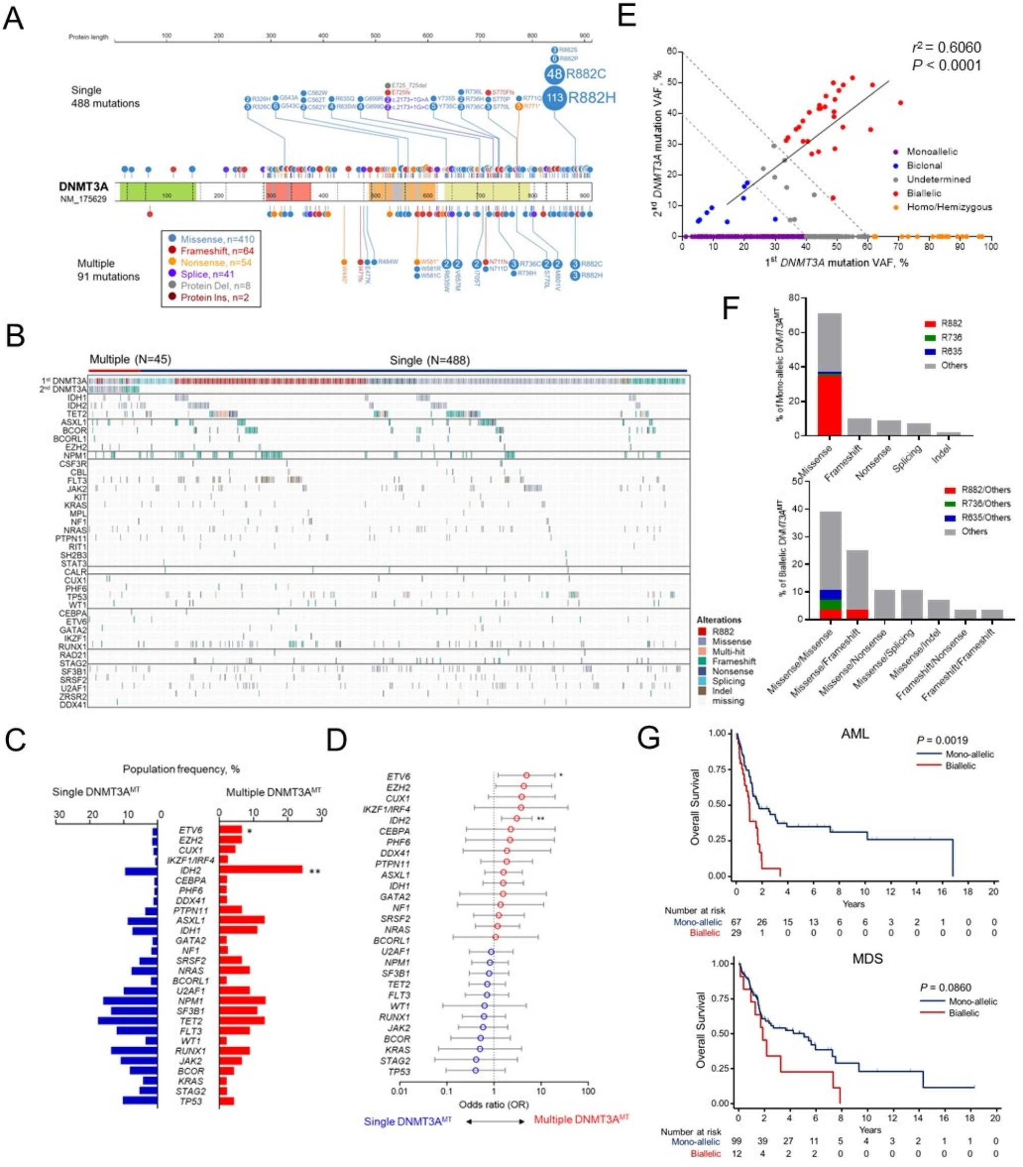 Landscape of biallelic DNMT3A mutant myeloid neoplasms