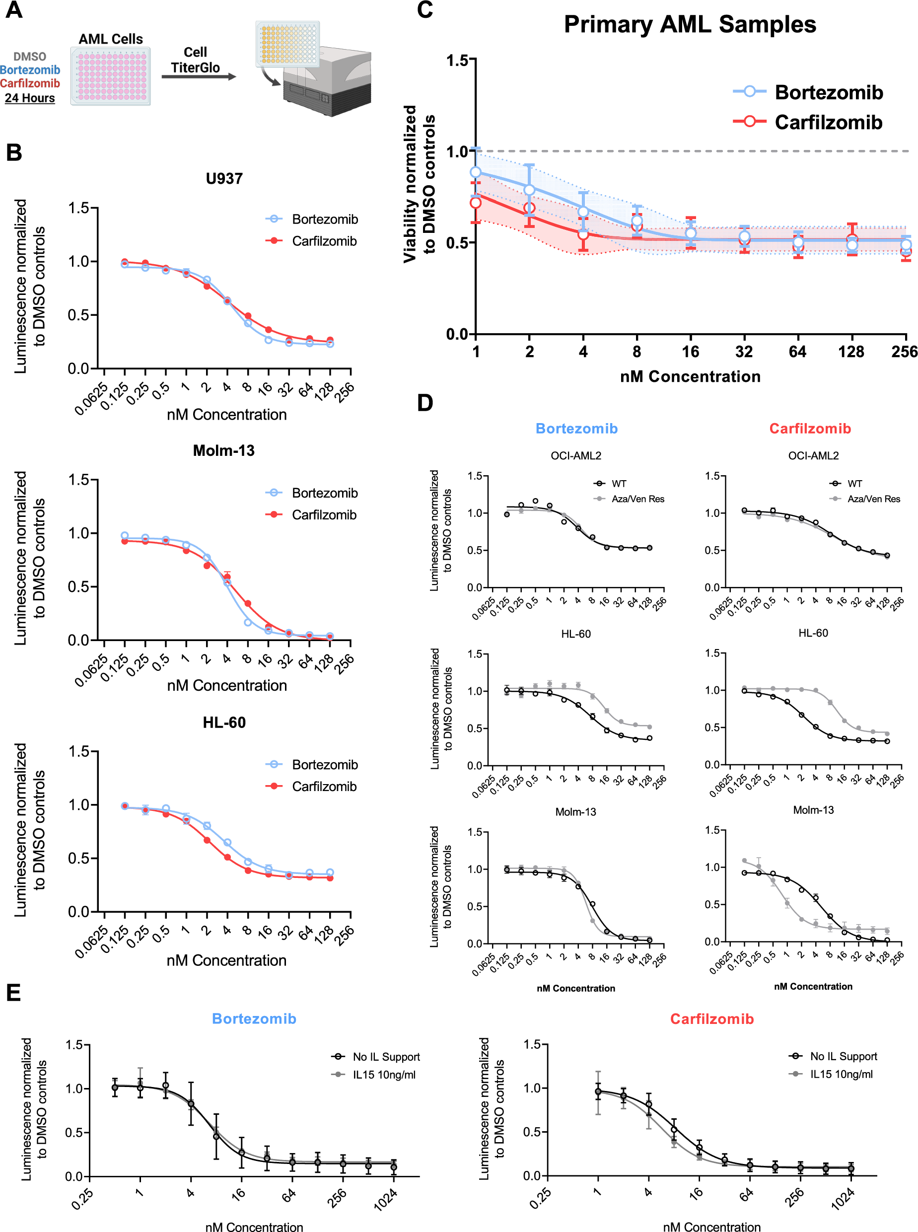 Proteasome inhibition enhances the anti-leukemic efficacy of chimeric antigen receptor (CAR) expressing NK cells against acute myeloid leukemia