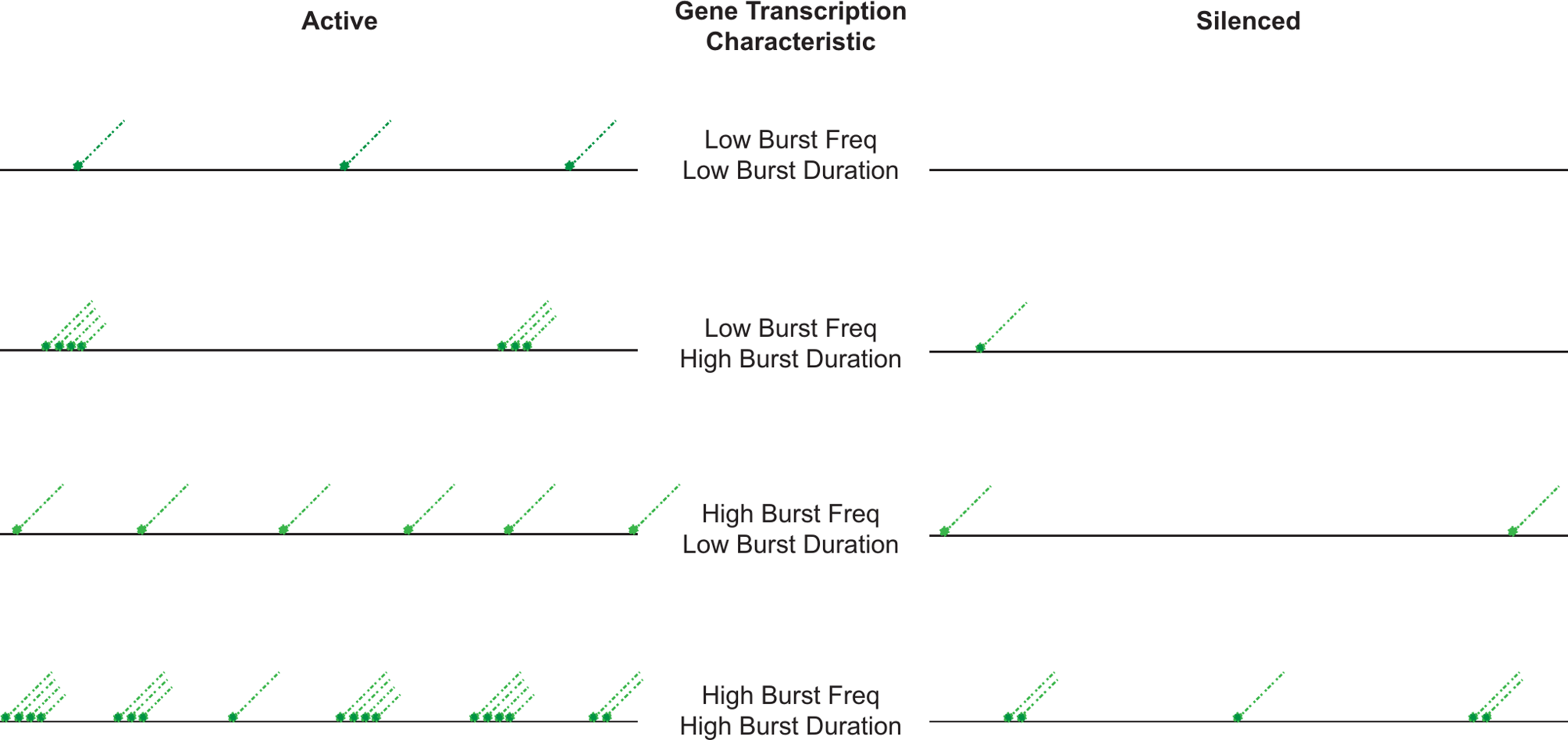 Transcriptional silencing in Saccharomyces cerevisiae: known unknowns