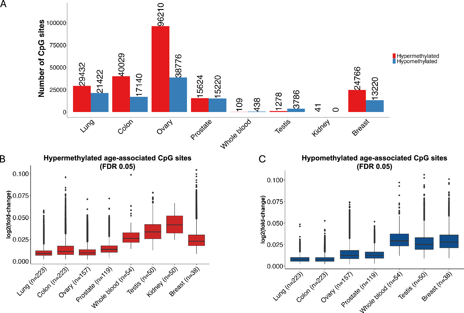 DNA methylation correlates of chronological age in diverse human tissue types