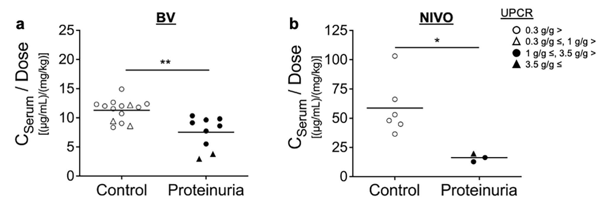 Low serum concentrations of bevacizumab and nivolumab owing to excessive urinary loss in patients with proteinuria: a case series