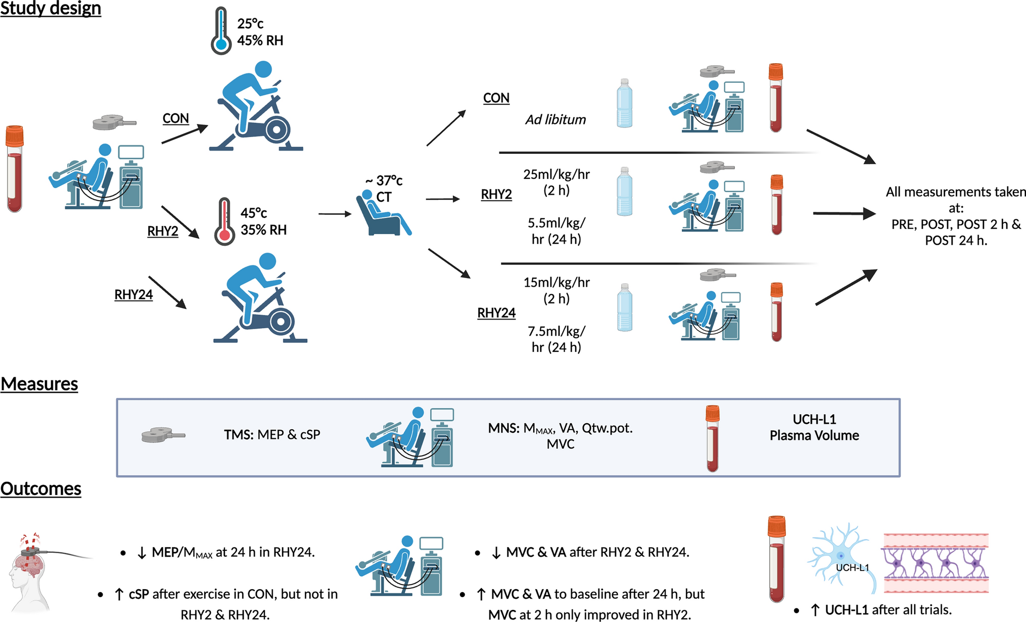 The effects of exercise, heat-induced hypo-hydration and rehydration on blood–brain-barrier permeability, corticospinal and peripheral excitability