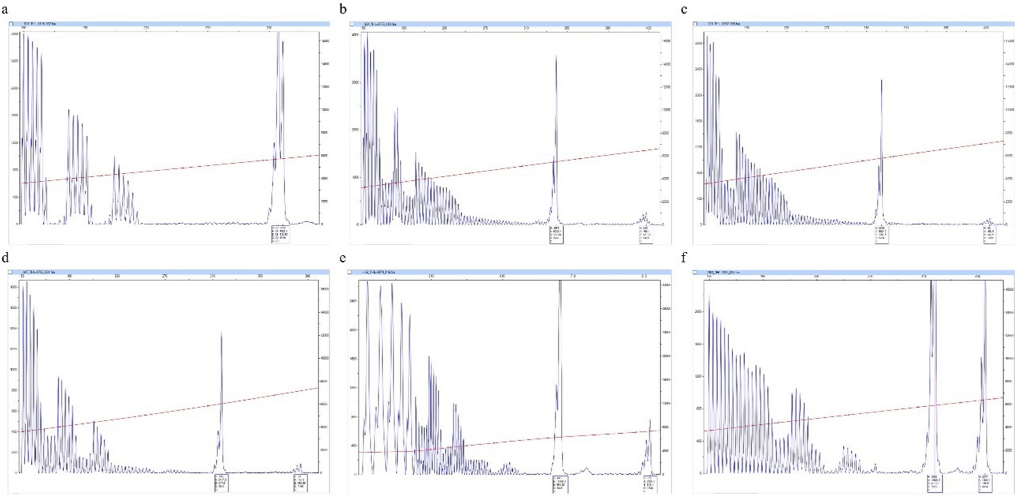 Population-based FMR1 carrier screening among reproductive women