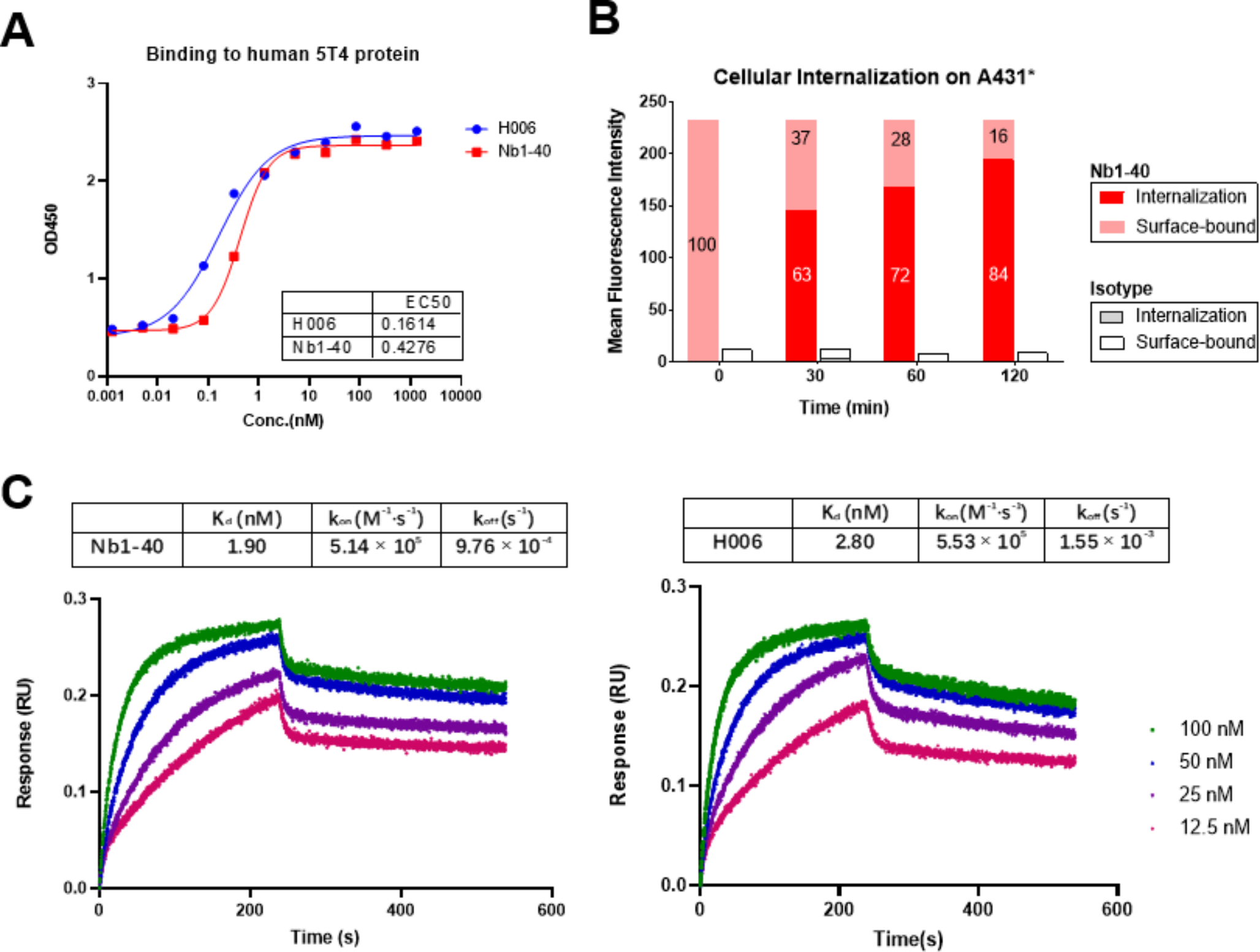 Preclinical evaluation and pilot clinical study of [68Ga]Ga-NOTA-H006 for non-invasive PET imaging of 5T4 oncofetal antigen